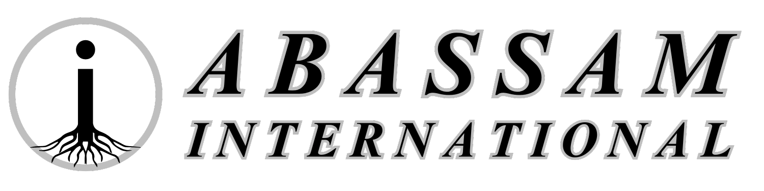 Abassam International Logo